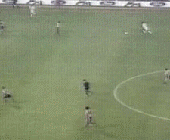seedorf